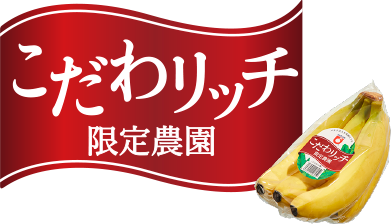 スペシャルサイト スペシャルサイト