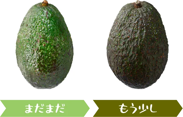 まだまだ もう少し