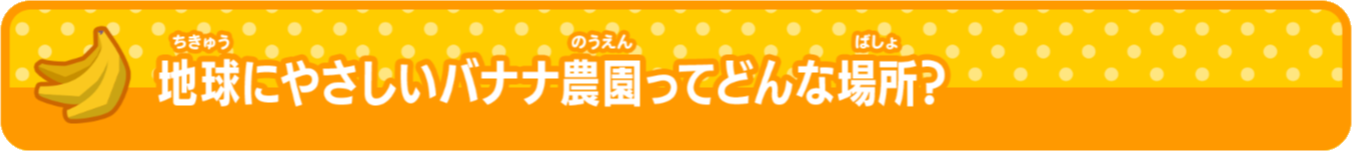 バナナオタクになろう 地球にやさしいバナナ農園ってどんな場所？