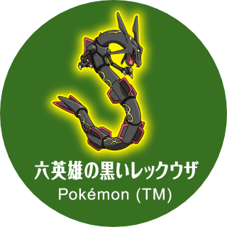 六英雄の黒いレックウザ Pokémon (TM)