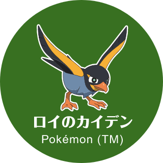 ロイのカイデン Pokémon (TM)