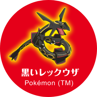 黒いレックウザ Pokémon (TM)