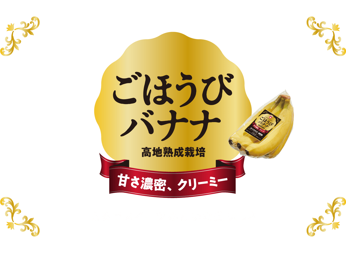 ごほうびバナナ　高知熟成栽培　甘さ濃密、クリーミー　まるでスイーツみたいな美味しさ