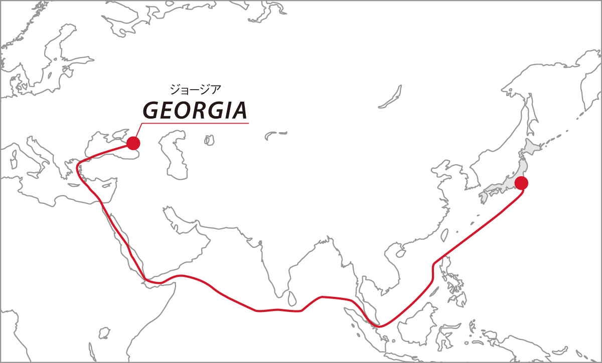 年初のチリ産からはじまり、初夏メキシコ、その後アメリカ産と産地をリレーすることで、通年販売をしています。