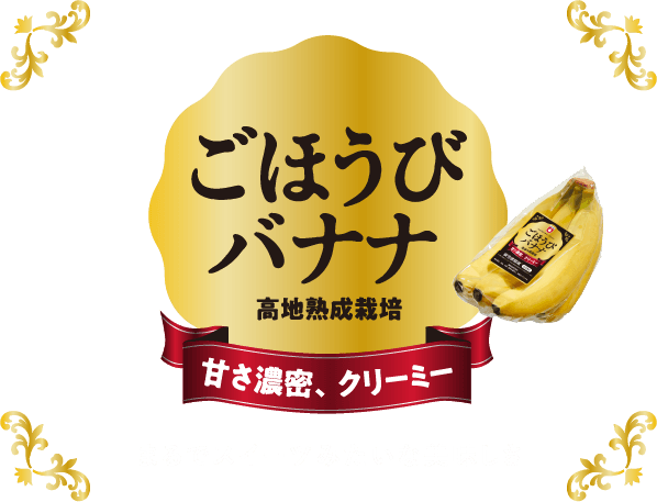ごほうびバナナ　高知熟成栽培　甘さ濃密、クリーミー　まるでスイーツみたいな美味しさ