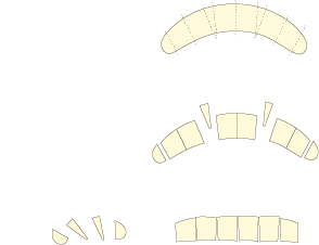 余った切れ端はつまみ食いに。。。