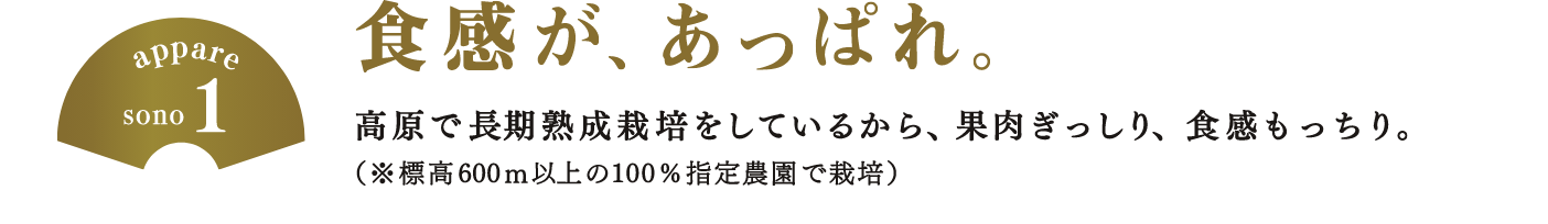 触感が、あっぱれ。