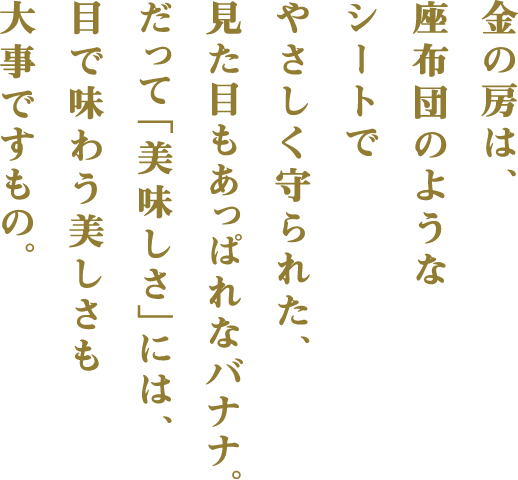 金の房は、座布団のようなシートでやさしく守られた、見た目もあっぱれなバナナ。だって「美味しさ」には、目で味わう美しさも大事ですもの。