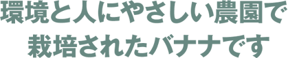 環境と人にやさしい農園で栽培されたバナナです