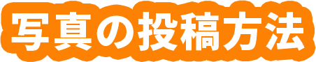 写真の投稿方法