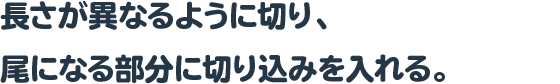 長さが異なるように切り、尾になる部分に切り込みを入れる。